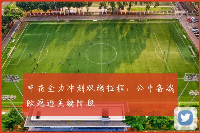 申花全力冲刺双线征程,公牛备战欧冠迎关键阶段